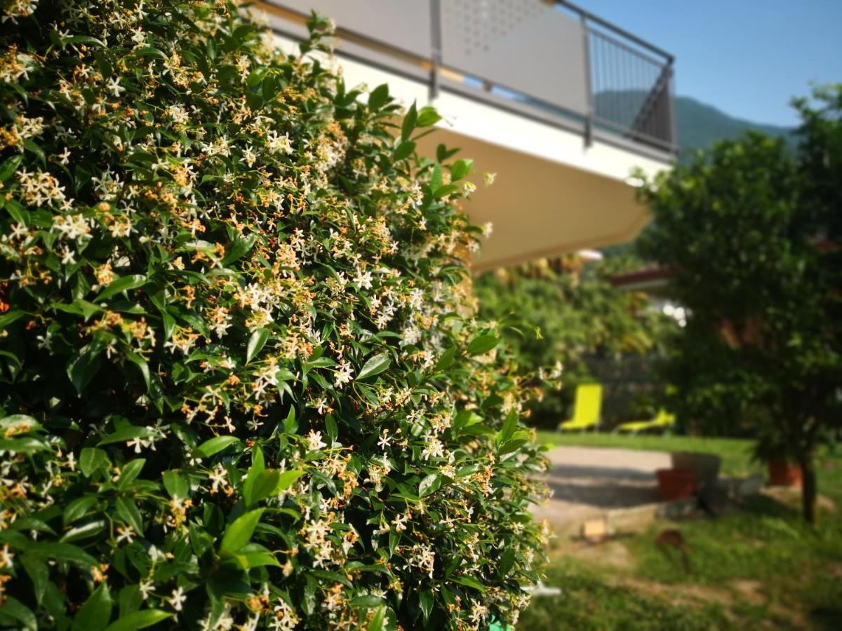 B&B Esmeralda 아르코 외부 사진